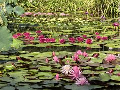 -国家植物园南园