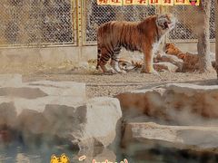 -上海野生动物园