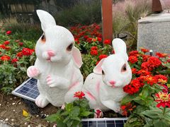 -BHG生活超市(安贞店)