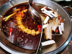 菌香鸳鸯锅-晓宇重庆火锅(赛格国际购物中心店)