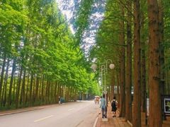 -日照灯塔风景区