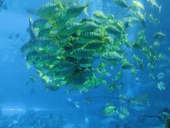 -珠海长隆海洋王国