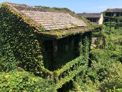 -枸杞岛