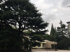 -宋庆龄陵园