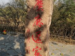 -北京麋鹿生态实验中心