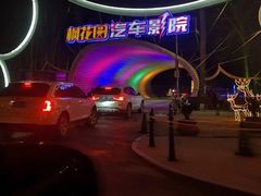 -枫花园汽车电影院(朝阳公园店)