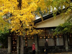 -成都市活水公园