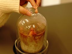 -VOYAGE COFFEE(北锣鼓巷店)