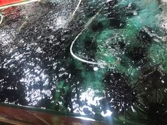 -万尾农贸市场