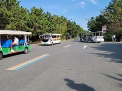 -日照海滨国家森林公园