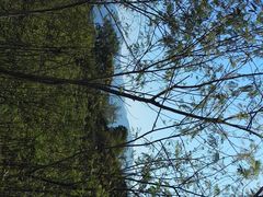 -元江连续刚构世界第一高桥景区