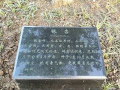 -武昌江滩