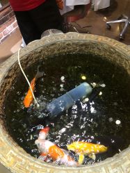 -木北造型
