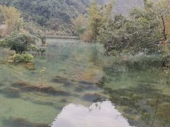 -靖西鹅泉风景区
