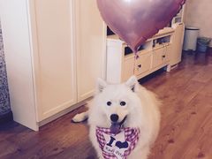 -HIHE Bistro·Oyster Bar(华熙live店)