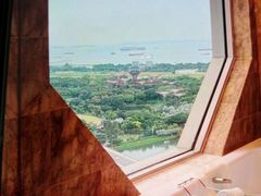-Colony(新加坡丽思卡尔顿美年酒店)