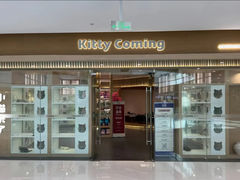 -小猫来了·猫舍(红山六九七九店)
