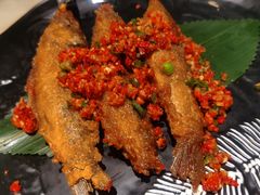 -佬麻雀·新湘菜(东方宝泰店)