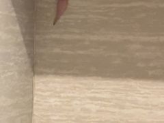 -西双版纳融创皇冠假日度假酒店