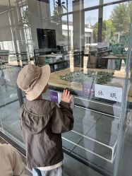 -太湖雪蚕桑文化园