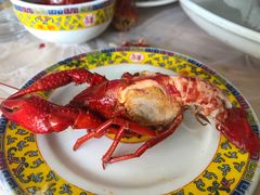 美极冰镇龙虾-袁老大龙虾(石鼓路总店)