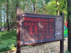 -日照海滨国家森林公园