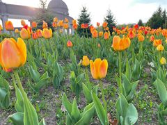 -长春公园(普阳街道)