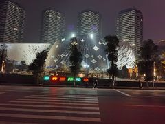 -重庆国际马戏城