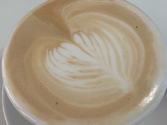 -喵的天空名猫咖啡馆·撸猫·猫舍·用品