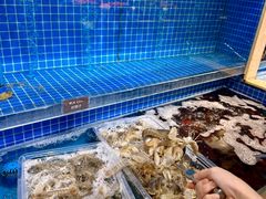 -乔哥铭洋海鲜自助(皇城恒隆广场店)