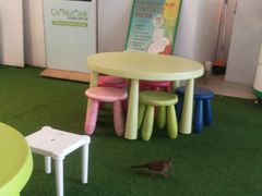 -Co+Nut+Ink(圣淘沙店)