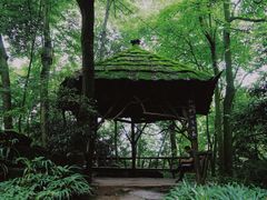 -青城山