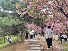 -西安青龙寺遗址景区