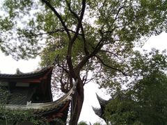 -成都武侯祠博物馆