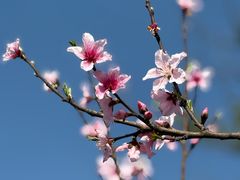 -中国天府农业博览园