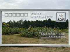 -金卉庄园