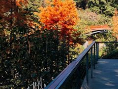 -云溪植物园
