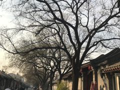 -北京国子监胡同