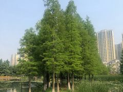 -白塘生态植物园