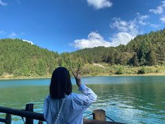 -武陵山森林公园