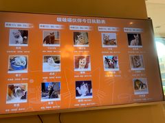 -啵啵喵·猫咖(攀华国际店)