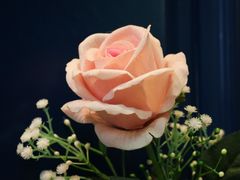 -伊思玛雅法式牛排自助餐厅(福清万达店)