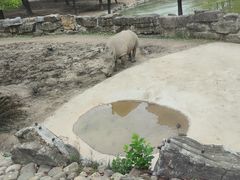 -上海野生动物园