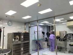 -欧奕国际动物医院