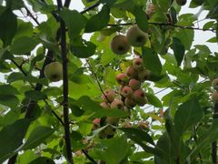 -中家鑫园温泉酒店鑫悦汤泉