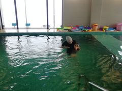 -BlueBubble蓝泡泡婴幼儿游泳会所(合川路店)