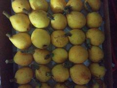 -乡巴佬(安驰路店)