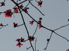 -晓港公园