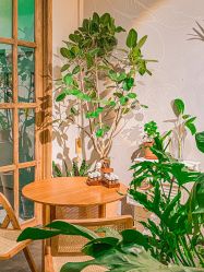 -芳香乐府疗愈空间·SPA·冥想