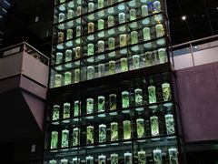 -广东中医药博物馆